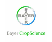 Bayer-01
